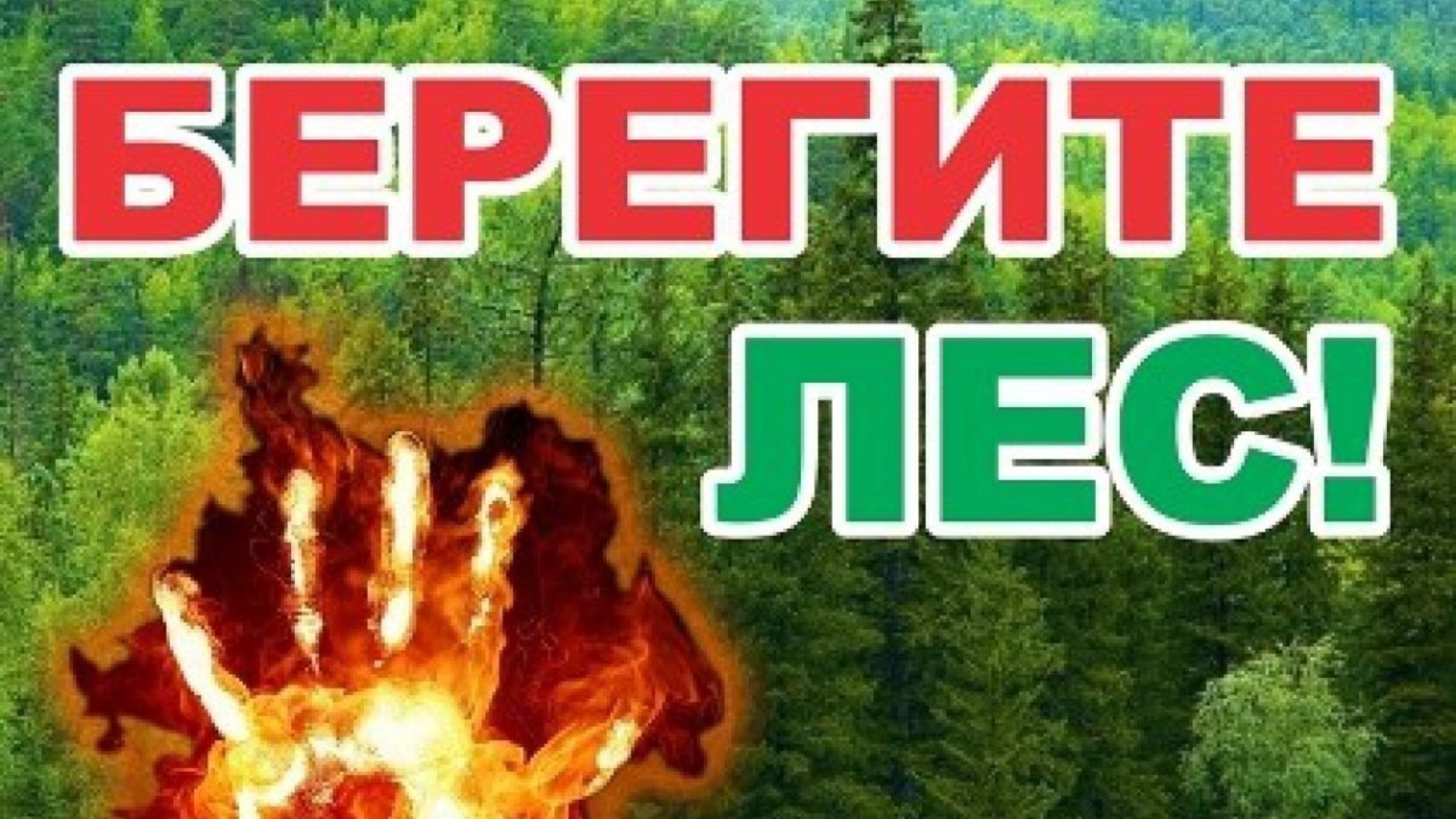 Берегите лес. Пожарная безопасность леса. Аншлаг пожарная безопасность в лесу. Береги лес от пожара.